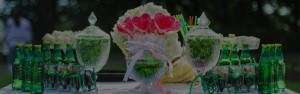 Social Events Bar Bat Mitzvah