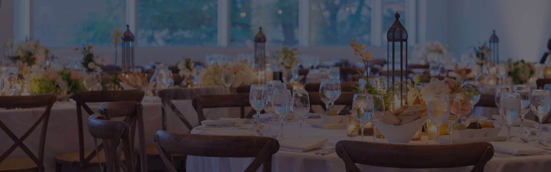 &nbsp;
