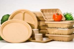 Biodegradable Grab and Go Boxes