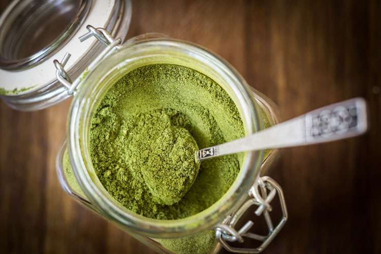How Can Moringa Be Prepared?
